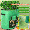 GreenGrove™ Veggie Growing Bag