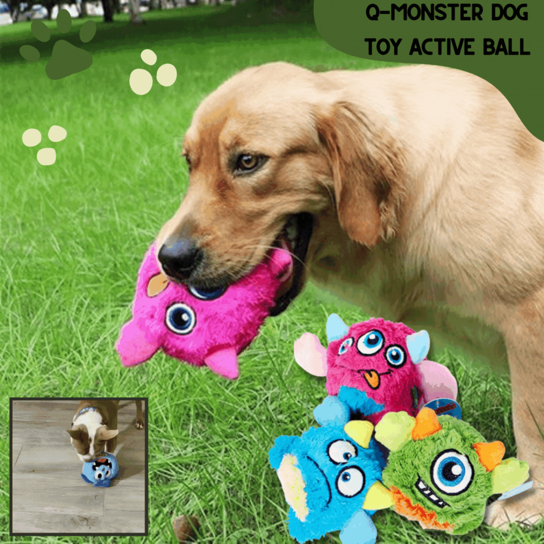 Q-Monster Dog Toy Active Ball