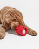 Chewbie™ Tennis Dog Chew Toy