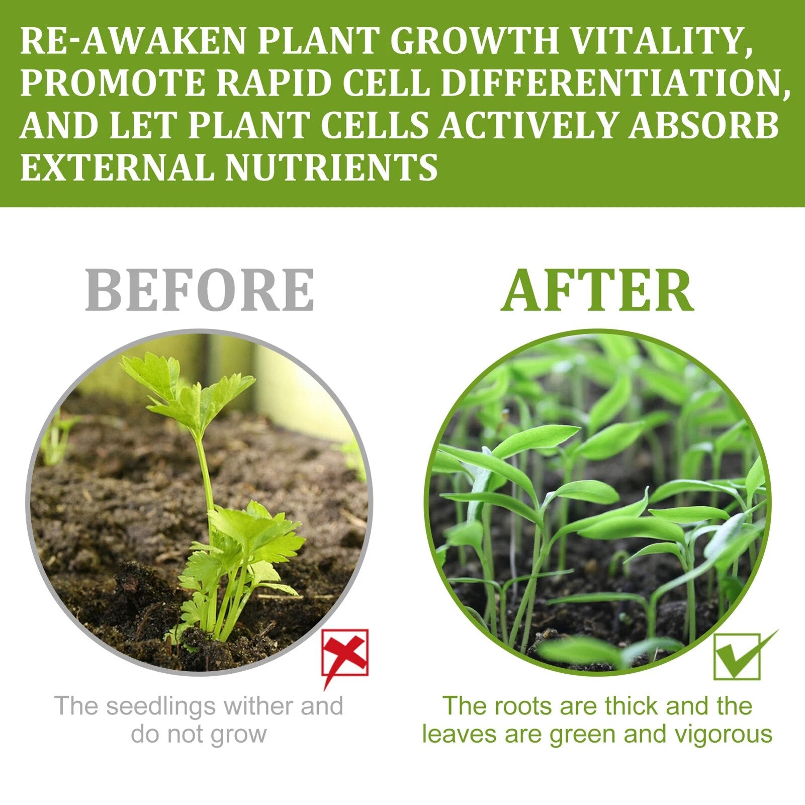 Vervine™ Plant Growth Enhancer Supplement | BUY 2 GET 1 FREE (3PCS)