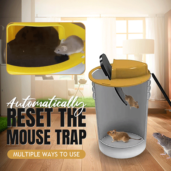 Flip n Slide Mouse Trap Set